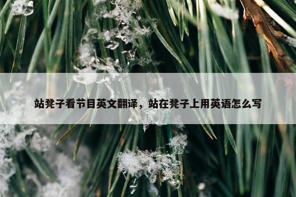 站凳子看节目英文翻译，站在凳子上用英语怎么写