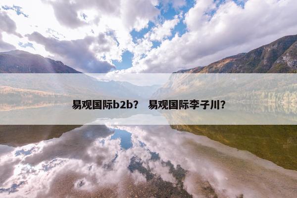 易观国际b2b？ 易观国际李子川？