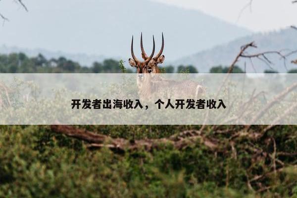 开发者出海收入，个人开发者收入