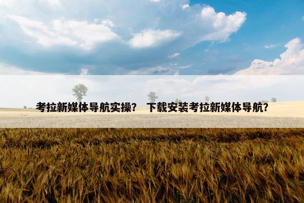 考拉新媒体导航实操？ 下载安装考拉新媒体导航？