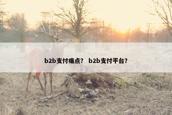b2b支付痛点？ b2b支付平台？