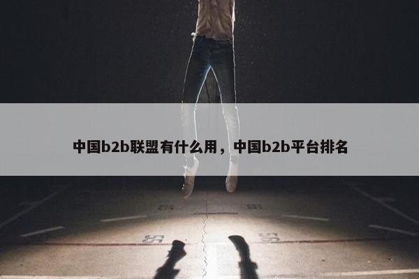 中国b2b联盟有什么用，中国b2b平台排名