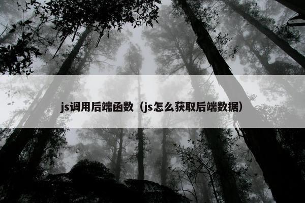 js调用后端函数（js怎么获取后端数据）