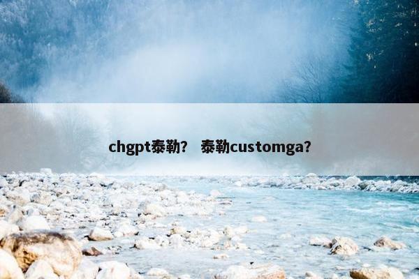 chgpt泰勒？ 泰勒customga？