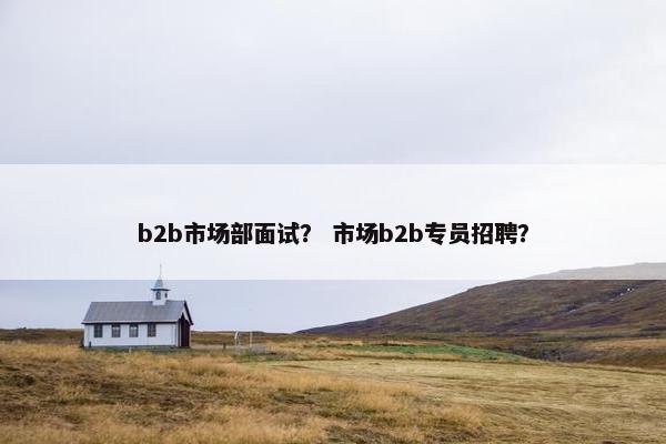 b2b市场部面试？ 市场b2b专员招聘？