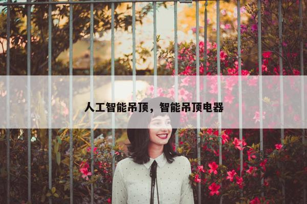 人工智能吊顶，智能吊顶电器