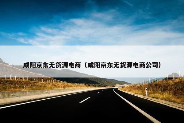 咸阳京东无货源电商（咸阳京东无货源电商公司）
