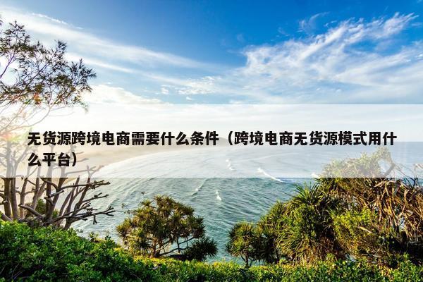 无货源跨境电商需要什么条件（跨境电商无货源模式用什么平台）