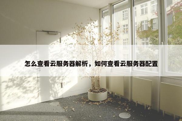 怎么查看云服务器解析，如何查看云服务器配置