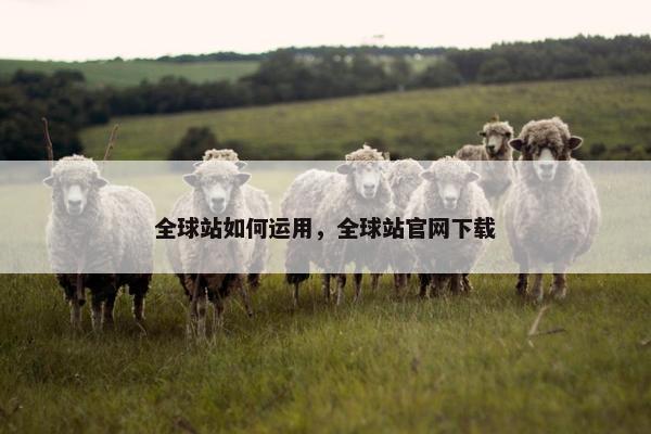 全球站如何运用，全球站官网下载