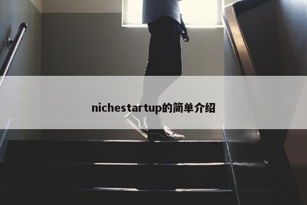 nichestartup的简单介绍