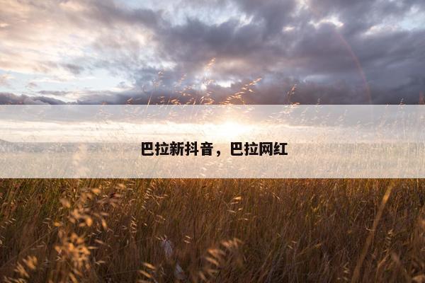 巴拉新抖音，巴拉网红