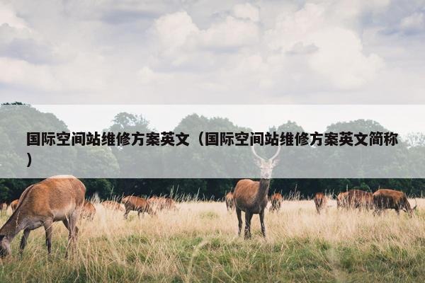 国际空间站维修方案英文（国际空间站维修方案英文简称）