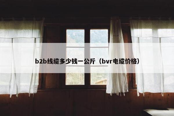 b2b线缆多少钱一公斤（bvr电缆价格）