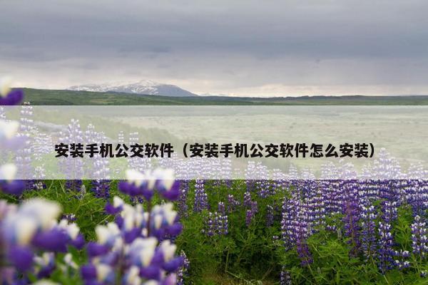 安装手机公交软件（安装手机公交软件怎么安装）