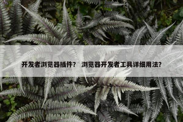 开发者浏览器插件？ 浏览器开发者工具详细用法？