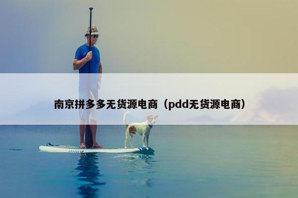 南京拼多多无货源电商（pdd无货源电商）