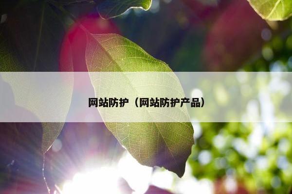 网站防护（网站防护产品）