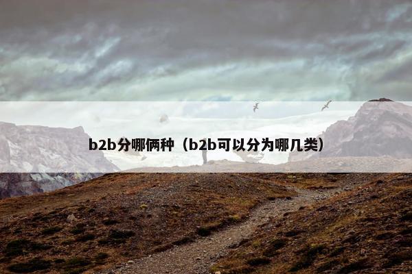 b2b分哪俩种（b2b可以分为哪几类）