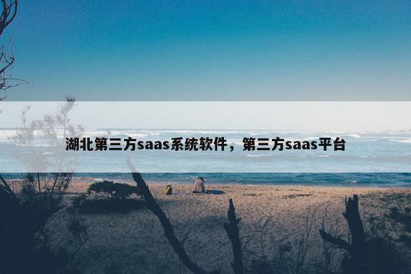 湖北第三方saas系统软件，第三方saas平台