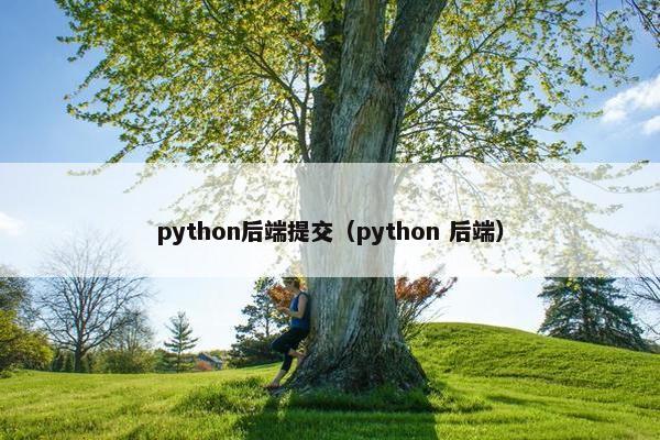 python后端提交（python 后端）