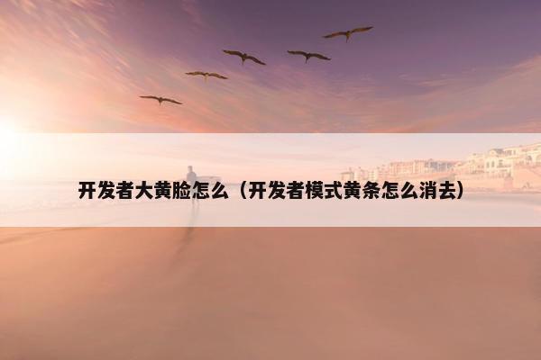 开发者大黄脸怎么（开发者模式黄条怎么消去）