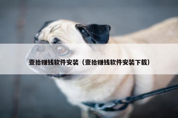 壹拾赚钱软件安装（壹拾赚钱软件安装下载）