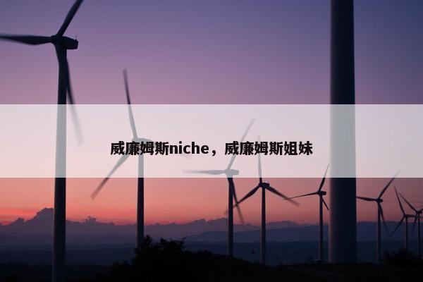 威廉姆斯niche，威廉姆斯姐妹