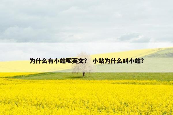 为什么有小站呢英文？ 小站为什么叫小站？