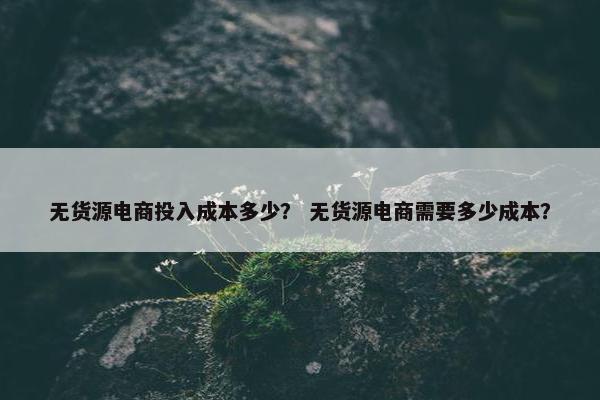 无货源电商投入成本多少？ 无货源电商需要多少成本？