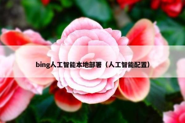 bing人工智能本地部署（人工智能配置）
