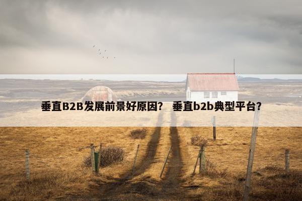 垂直B2B发展前景好原因？ 垂直b2b典型平台？