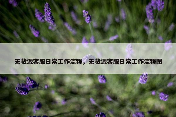 无货源客服日常工作流程，无货源客服日常工作流程图