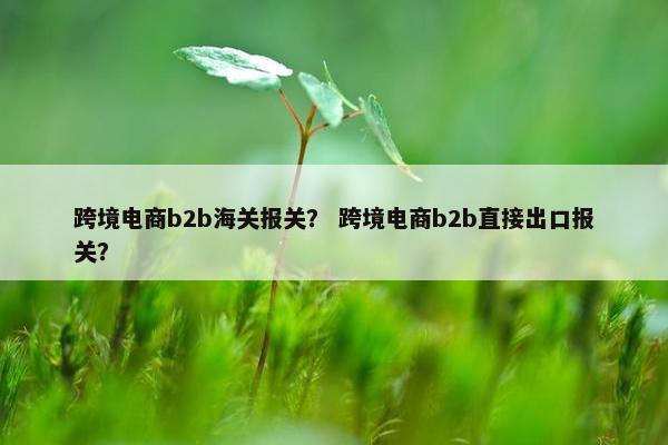 跨境电商b2b海关报关？ 跨境电商b2b直接出口报关？