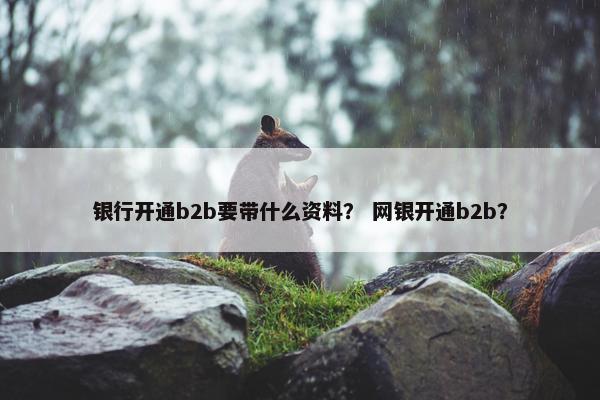 银行开通b2b要带什么资料？ 网银开通b2b？