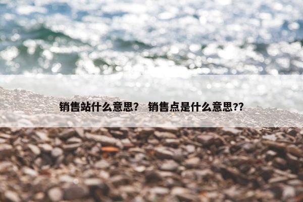 销售站什么意思？ 销售点是什么意思?？