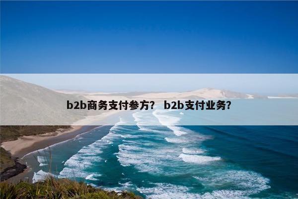 b2b商务支付参方？ b2b支付业务？