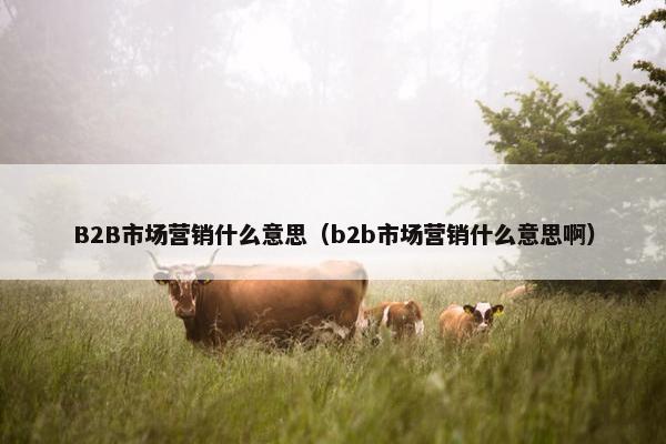 B2B市场营销什么意思（b2b市场营销什么意思啊）