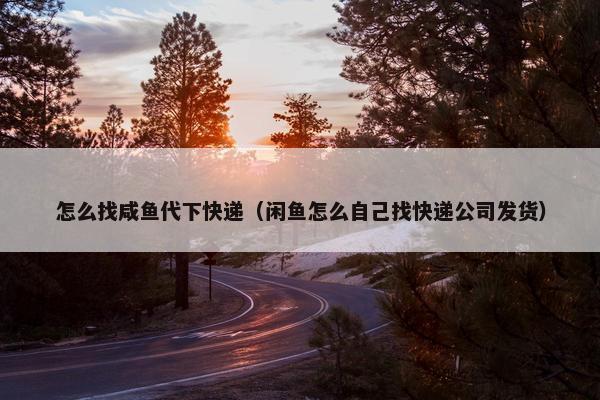 怎么找咸鱼代下快递（闲鱼怎么自己找快递公司发货）