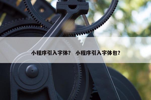小程序引入字体？ 小程序引入字体包？