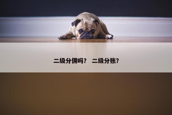 二级分佣吗？ 二级分账？