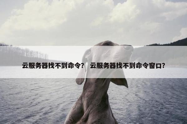 云服务器找不到命令？ 云服务器找不到命令窗口？