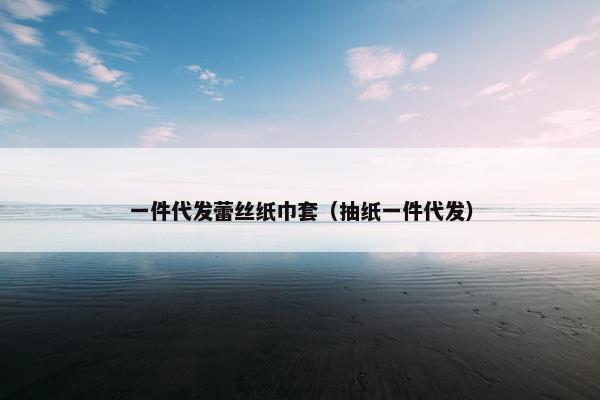 一件代发蕾丝纸巾套（抽纸一件代发）
