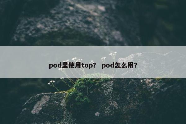 pod里使用top？ pod怎么用？
