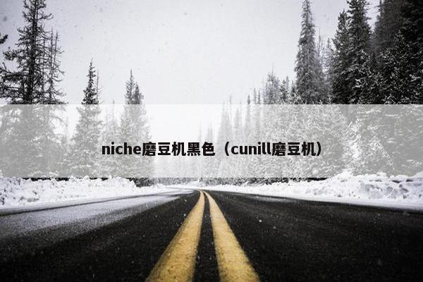 niche磨豆机黑色（cunill磨豆机）
