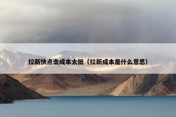 拉新快点击成本太低（拉新成本是什么意思）