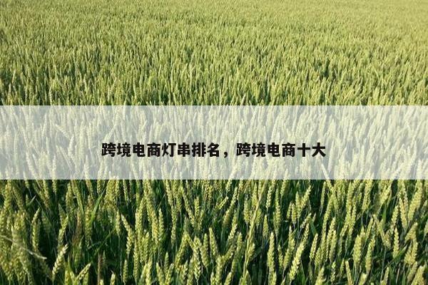 跨境电商灯串排名，跨境电商十大