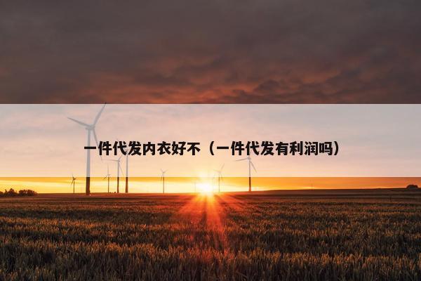 一件代发内衣好不（一件代发有利润吗）