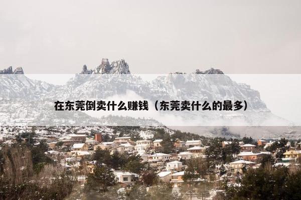 在东莞倒卖什么赚钱（东莞卖什么的最多）