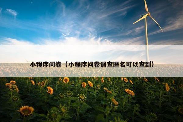 小程序问卷（小程序问卷调查匿名可以查到）